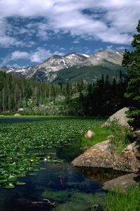 Cub Lake at Rocky Mountain National Park. Courtesy of RMNP.
