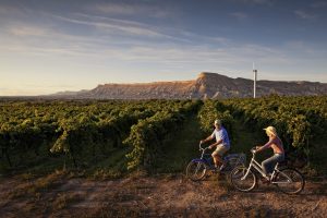 Colorado destinations like Grand Junction and Palisade offer unique options such as biking through wine country. Photo courtesy of Grand Junction Visitor & Convention Bureau.