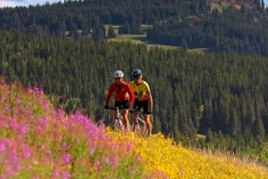 Wildflowers have graced Steamboat's trails and hillsides for decades.