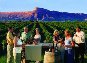 A group enjoying food and wine at a vineyard in the Grand Junction and Palisade area. Courtesy of Grand Junction VCB.