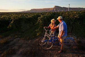 Biking between vineyards in Palisade and Grand Junction. Courtesy Grand Junction VCB.