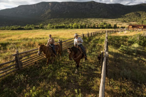 Horses leaving Palisade Ranch