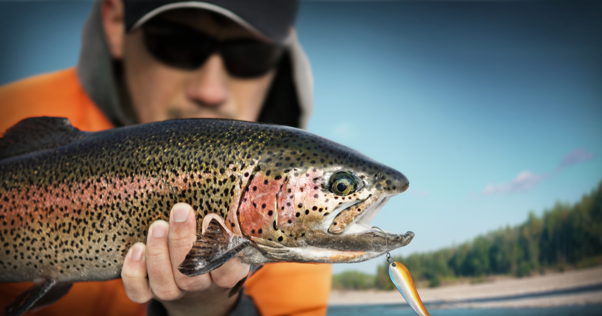 Executive fishing in Colorado