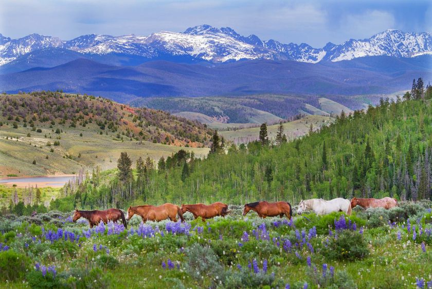 planning meetings in colorado